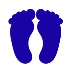 Acrylic cutout of laxmi paul