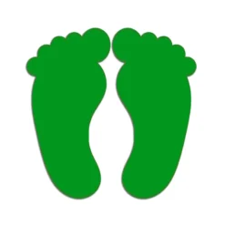 Acrylic cutout of laxmi paul