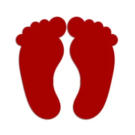 Acrylic cutout of laxmi paul