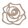 Mdf Cut Rose Flower Mdf cut rose flower